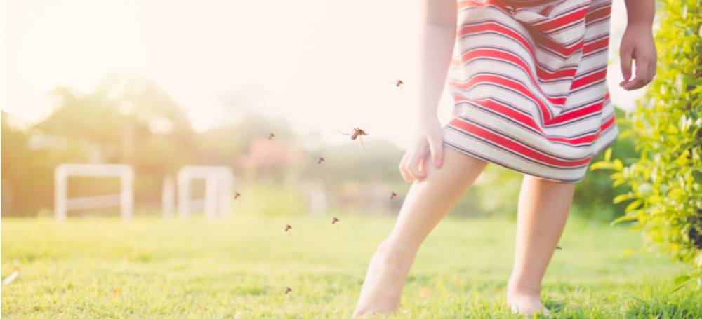 Quick Home Remedies for Insect Bites and Stings