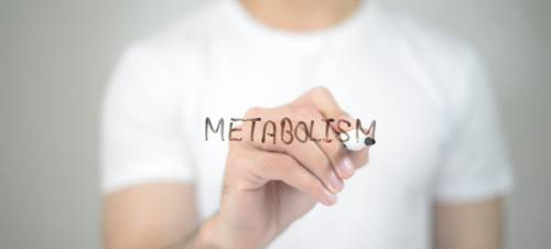 The Link Between Fatty Liver and Insulin Resistance: Some Healthy Food Options To Choose