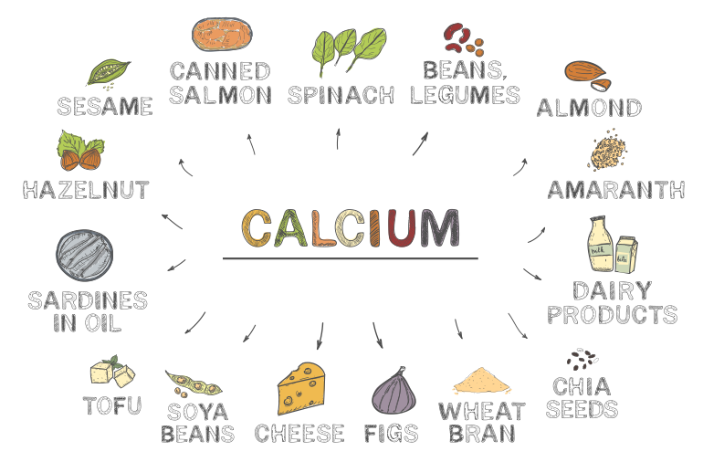How to Increase Calcium in the Body? calcuim sources