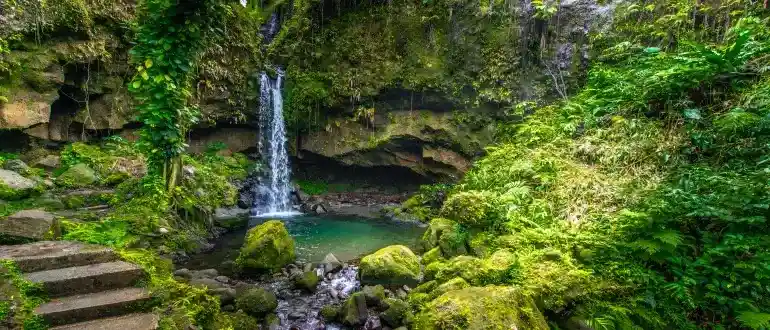 Dominica