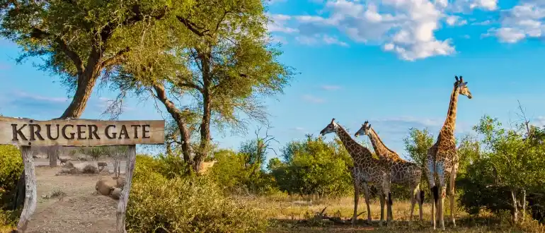 Kruger National Park
