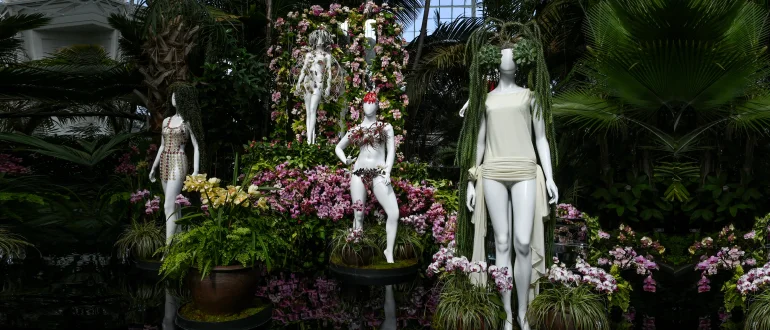 New York’s Hidden Tropical Rainforest New York’s Hidden Tropical Rainforest