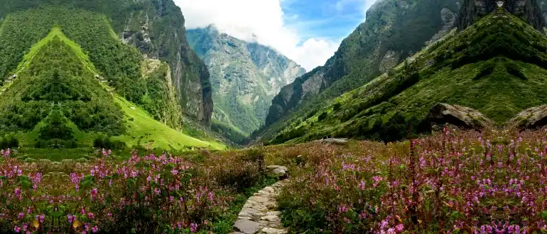 Valley of Flowers