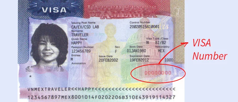 Visa Number Check